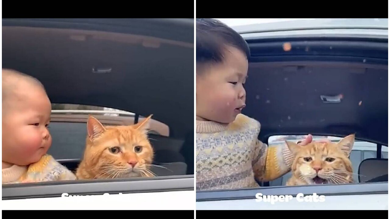 Toddler and cat amazing love affection as a best friends