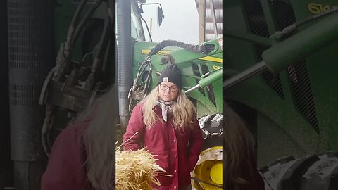 Dont Move To Idaho and Have Livestock | #2