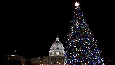 Rep. Mike Collins' House Office Christmas Display Just Won the Internet, With a Specia