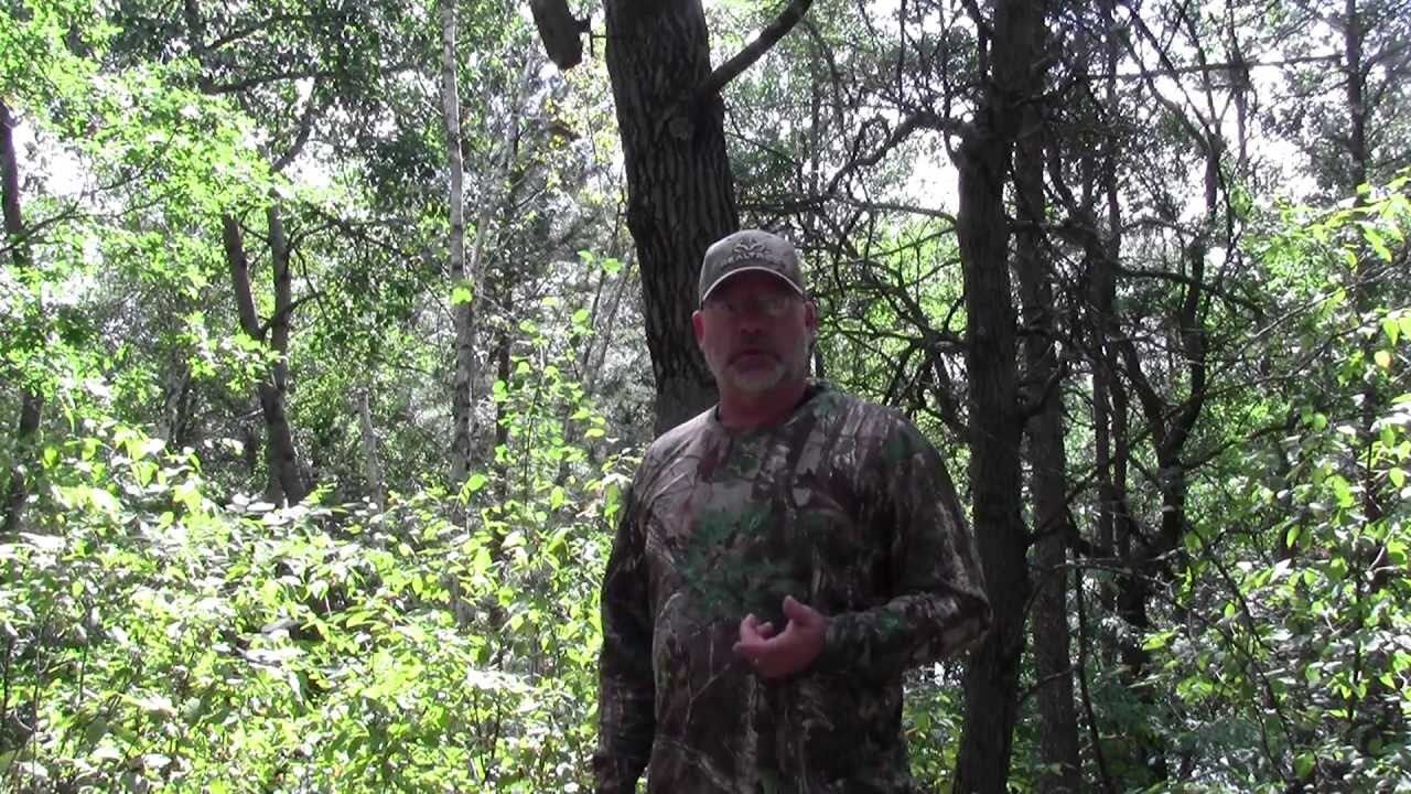 Using a Stic & Pic to keep your game camera out of the hands of trail camera theives.