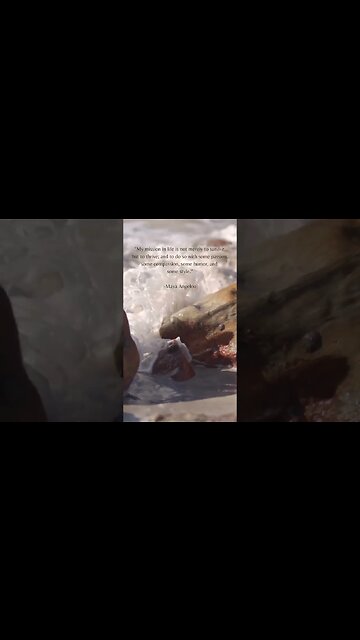 Thriving with Purpose and Personality: Living Life to the Fullest