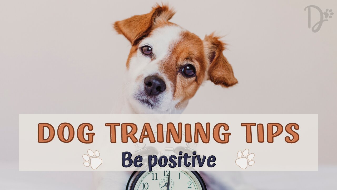 Be Positive When Training Your Dog - Here's Why!