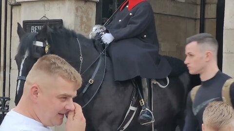 Don't touch the Reins #horseguardsparade