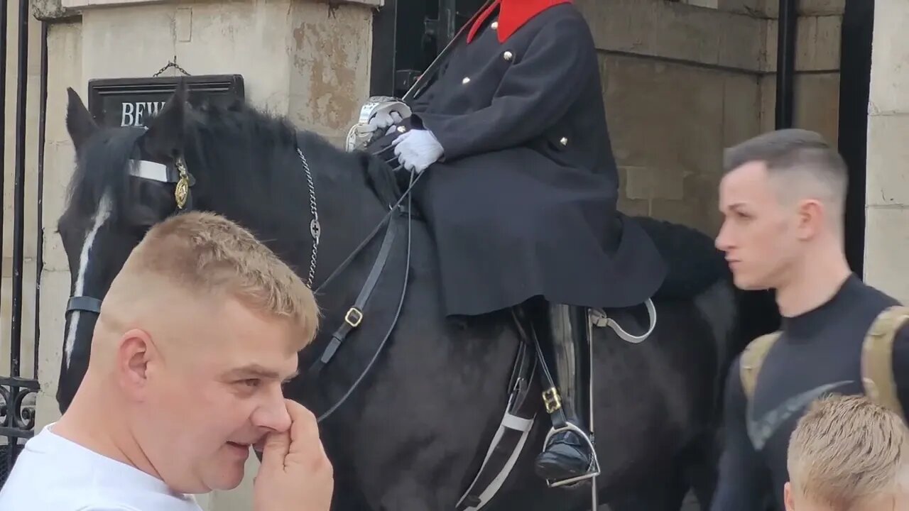 Don't touch the Reins #horseguardsparade