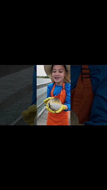 Fatty Puffer Fish🐡😅😆