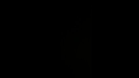 I am Italian conservative and patriotic