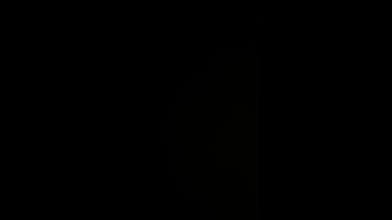 I am Italian conservative and patriotic