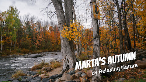 Marta’s Autumn – 60 minutes of Beautiful, Relaxing Music for Study, Work, Meditation, Sleep