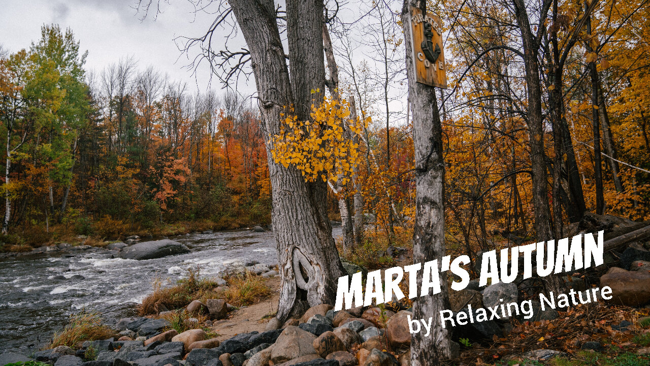 Marta’s Autumn – 60 minutes of Beautiful, Relaxing Music for Study, Work, Meditation, Sleep