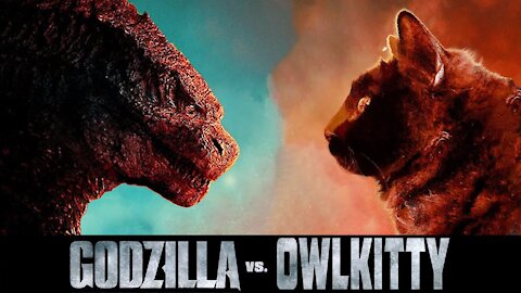 when the cat fights Godzilla (Godzilla vs cat)