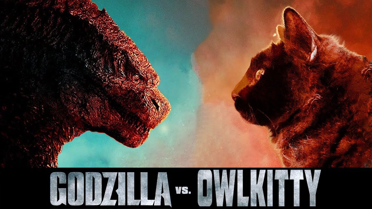 when the cat fights Godzilla (Godzilla vs cat)