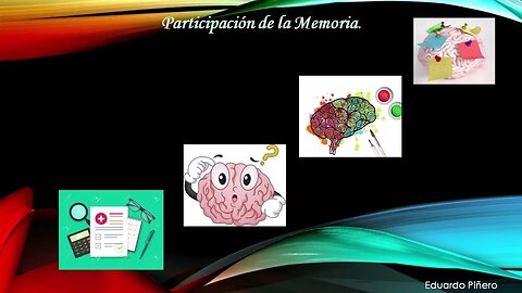 Portafolio Proceso Perceptivo