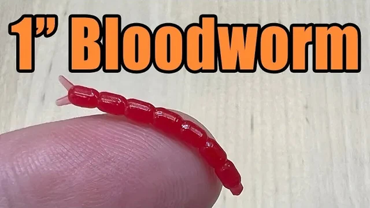 Bloodworm Micro Fishing Bait - Dropshot For Bass and Panfish Footage Too!