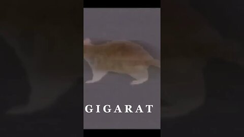 Gigarat