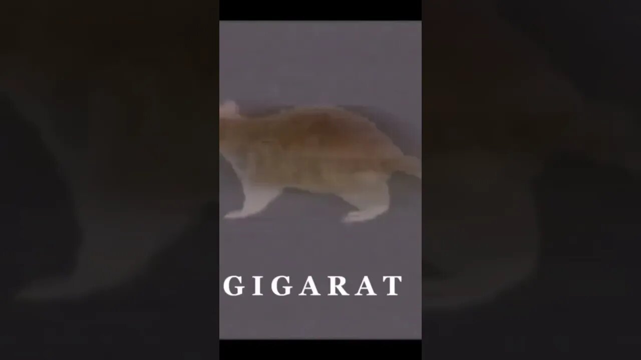 Gigarat