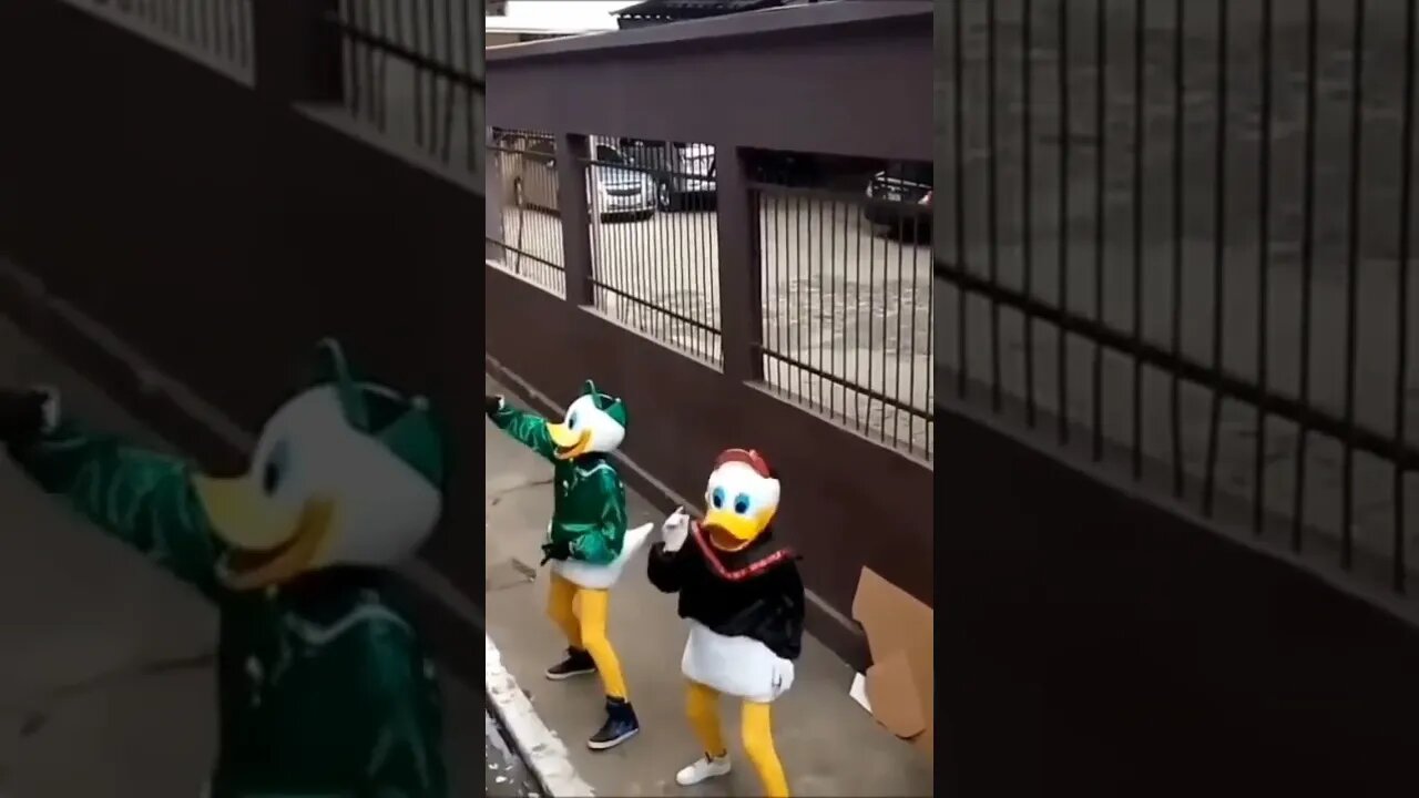 DANÇARINOS SUPER NINJAS DA CARRETA DA ALEGRIA, DANÇANDO FOFÃO, PATO DONALDO E PATATI, LIKE 2