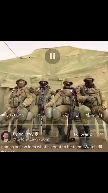 These are the Israeli soldiers who are kicking Palestinian Hamas's Butts...