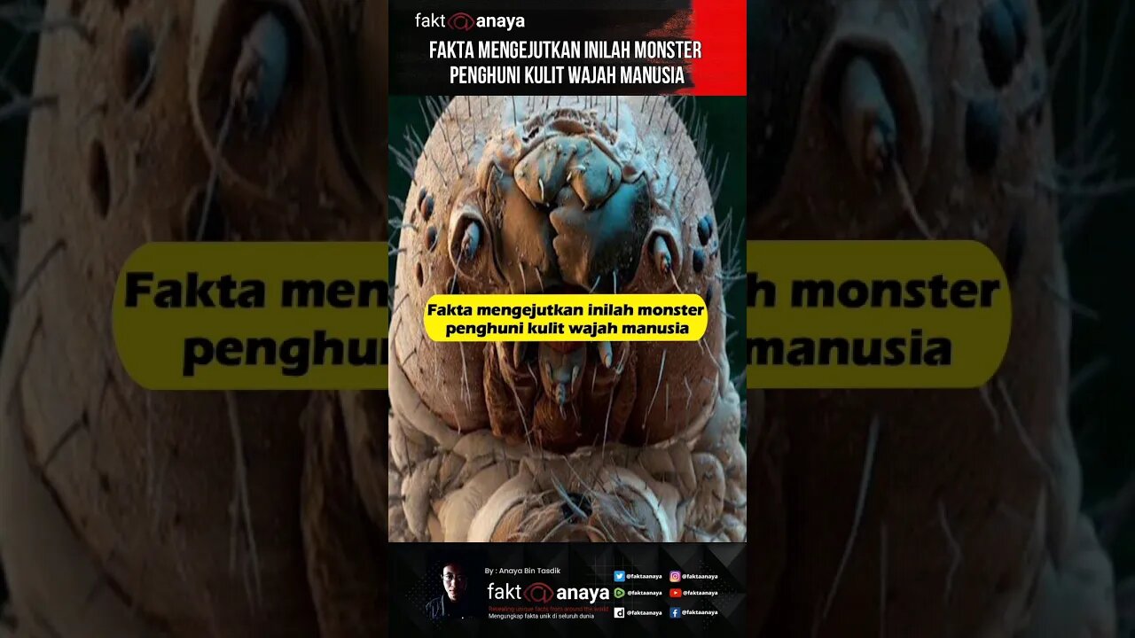 Fakta mengejutkan, inilah monster penghuni kulit wajah manusia #shorth