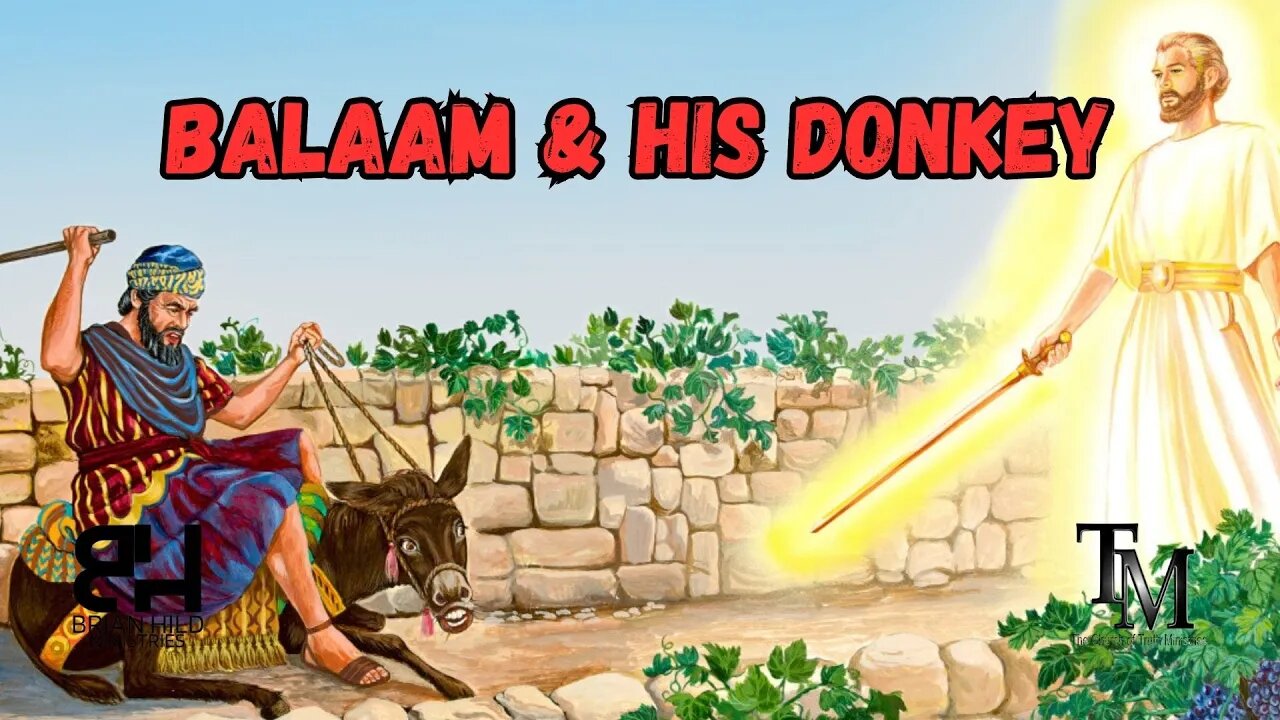 Balaam and His Donkey - Sunday Service - Pastor Brian Hild