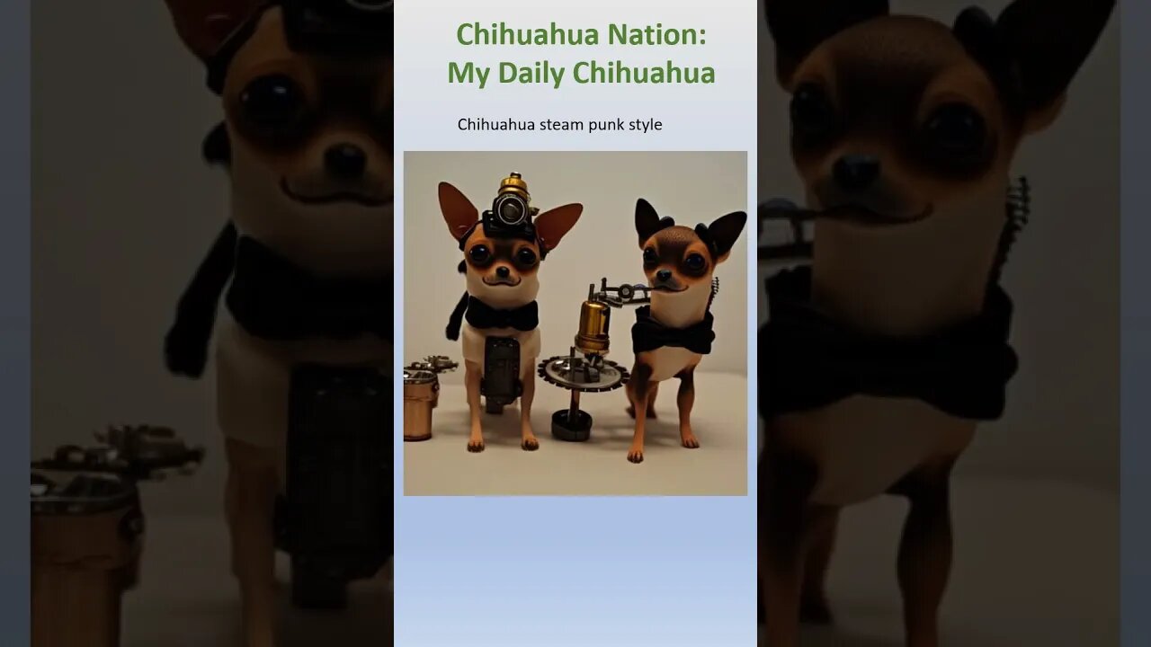 Steam punk chihuahuas #shorts