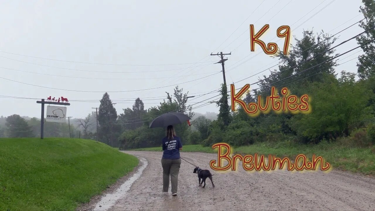 K9 Kuties: "Brewman"