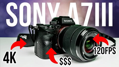 Is the Sony A7iii Worth It?