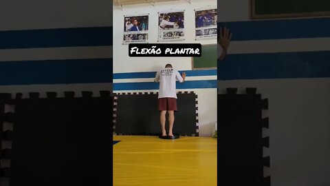 Flexão plantar