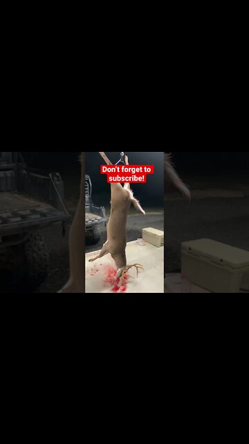 Nice Georgia Buck! (Tattnall county)