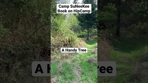 Camp SuNeeKee - Trails and Handy Trees