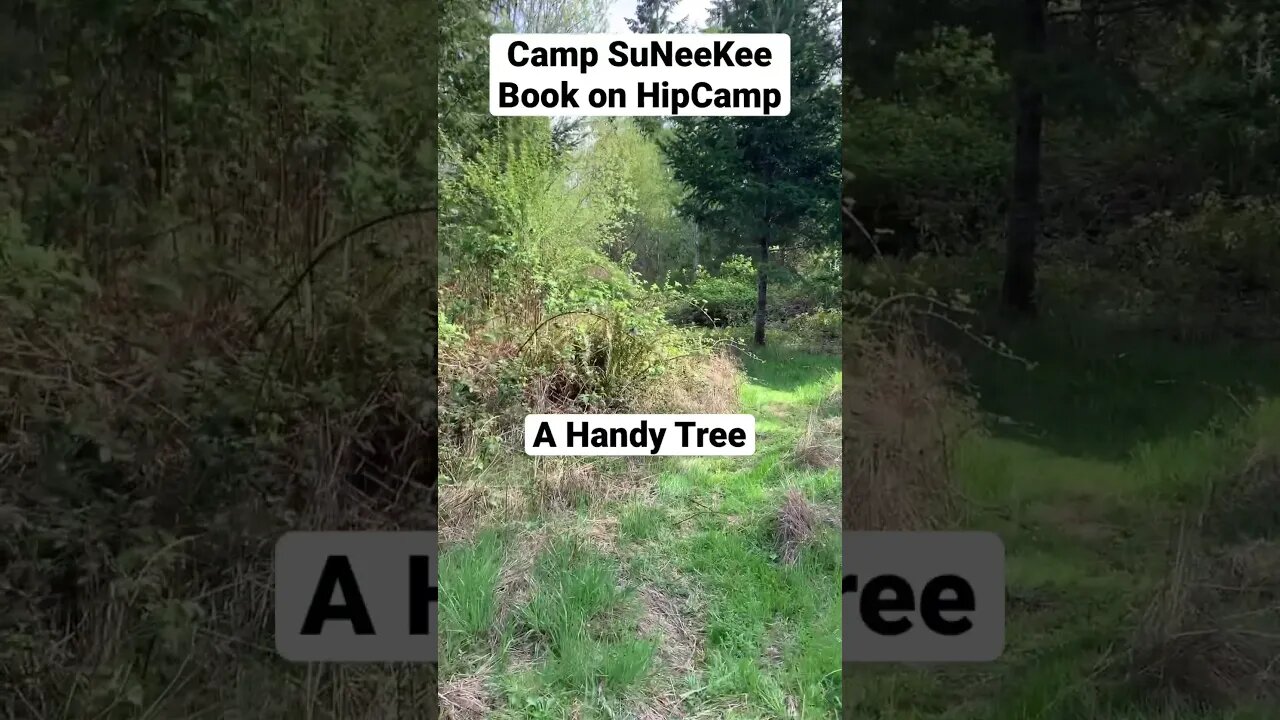 Camp SuNeeKee - Trails and Handy Trees
