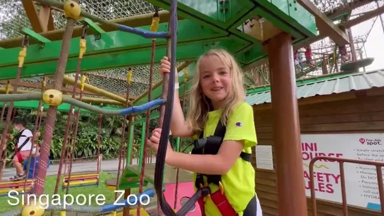 Rope Course at Singapore Zoo 🇸🇬