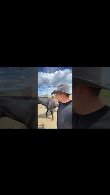 Building a House Makes a Horse Fat!