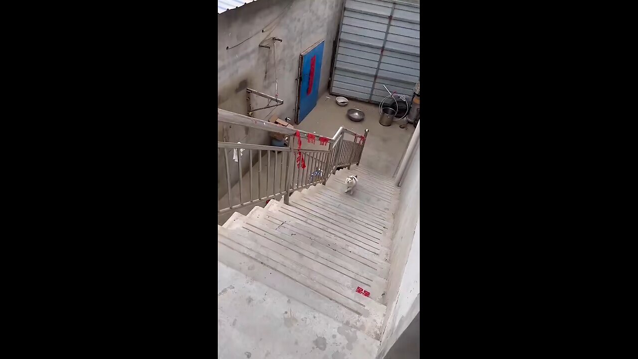 What a wonderful message this cat is giving!