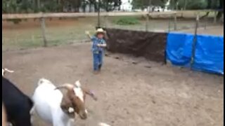 Slow mo goat rope