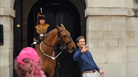 You can have my teeth in your selfie #horseguardsparade