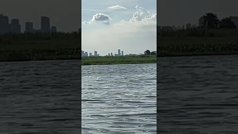 Laguna Lake Manila #shorts #short #shortsvideo #shortsfeed #water