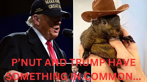 THE REAL TRUTH BEHIND THE KILLING OF P'NUT THE SQUIRREL AND HOW IT RELATES TO DONALD TRUMP WINNING!