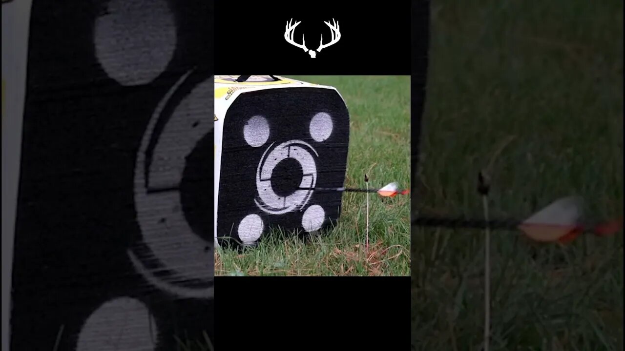 BEAUTY IN THE SOUND OF THE ARROW! #shorts #shortvideo #archery #bowhunting #wisconsin