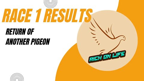 Race results from 1st Race and Another Lost Pigeon