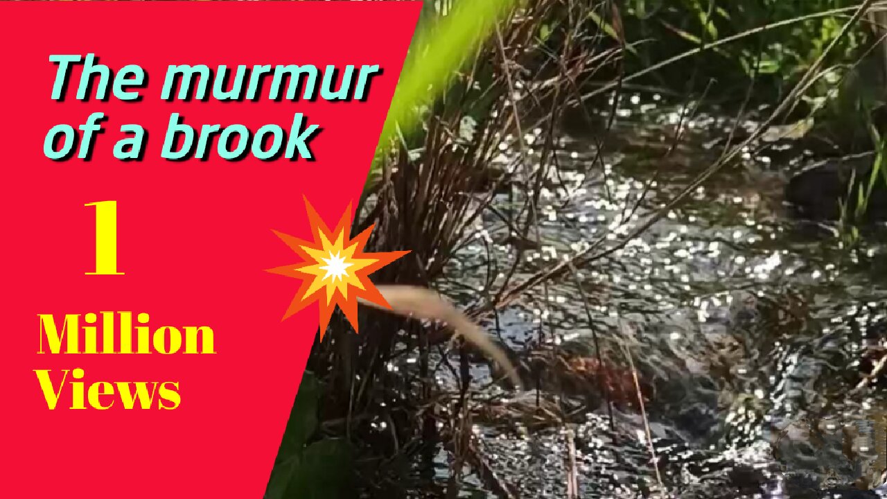 The murmur of a brook