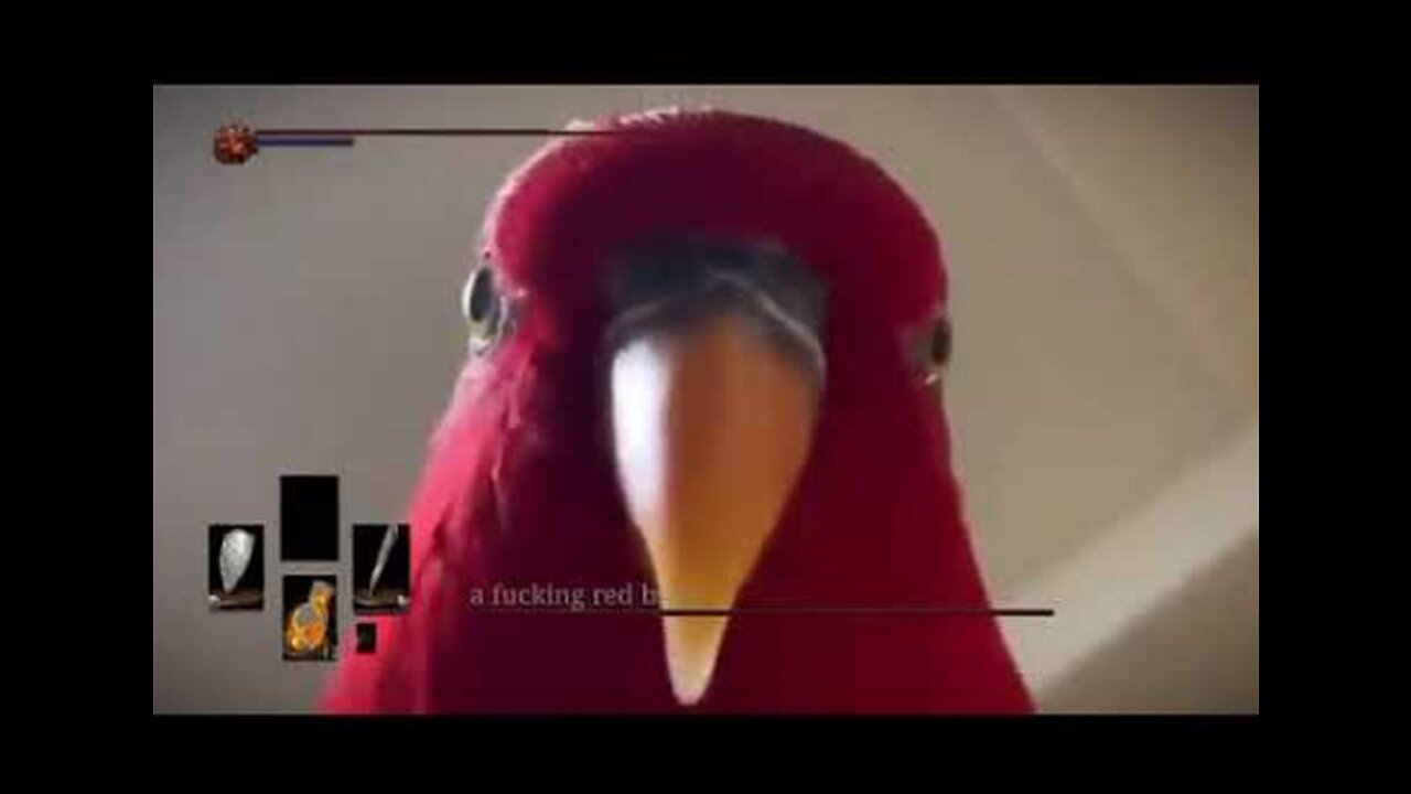 Red Bird Meme