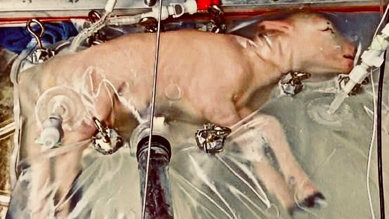 10 Significant Scientific Developments of the Last Decade