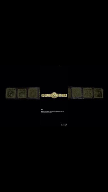 Entire History Of WWF/WWE Title In 60 Seconds! #shorts