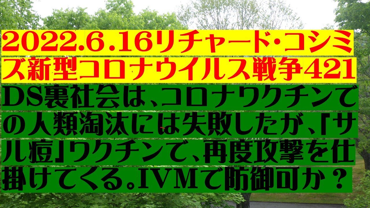 2022.06.16 リチャード・コシミズ新型コロナウイルス戦争421