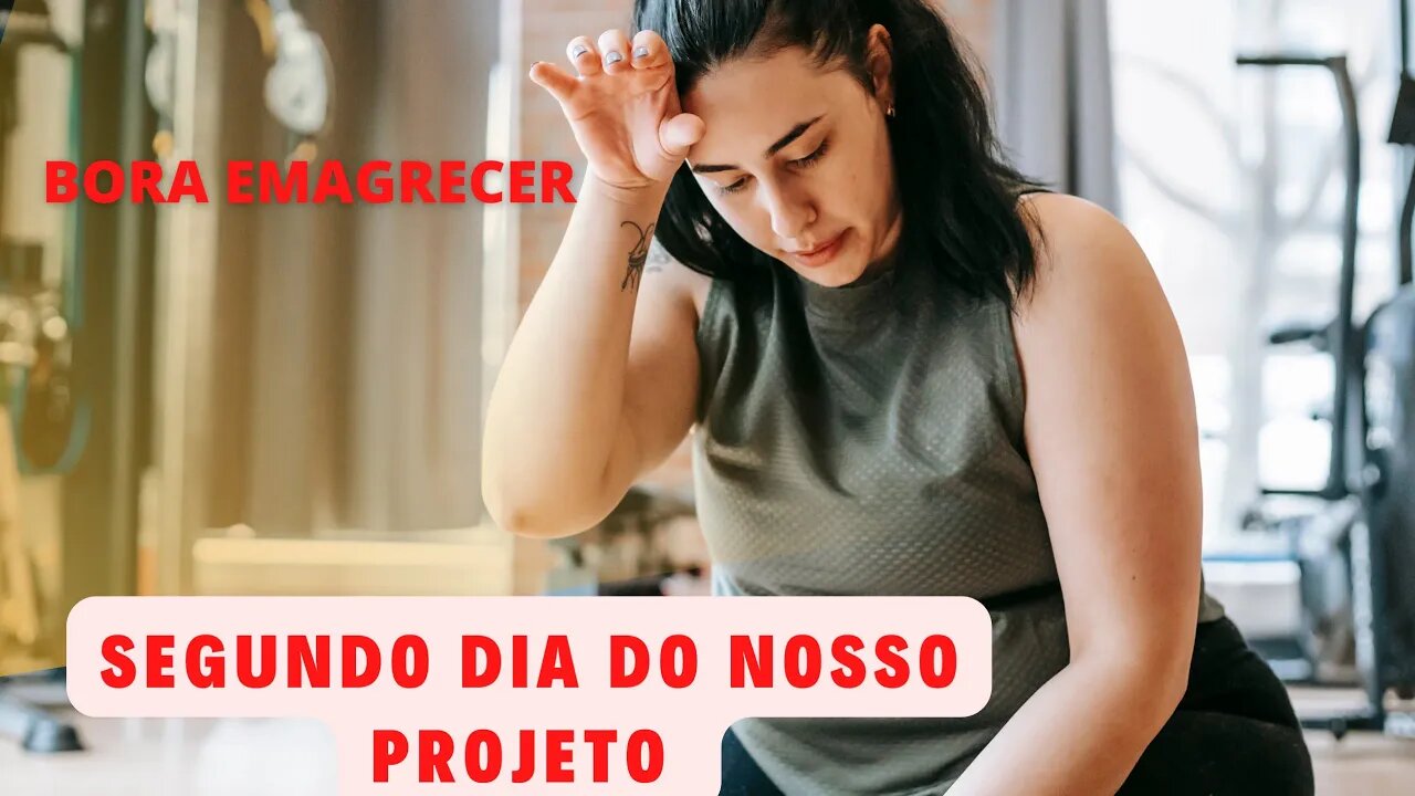 Segundo dia do Projeto de 7 dias