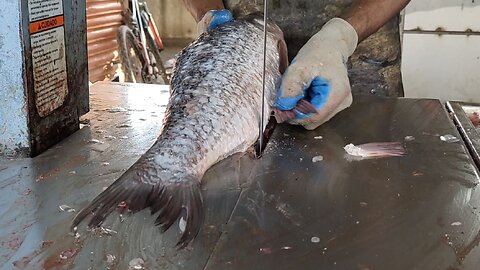 Big Rohu Fish Cutting Skills Live In Fish Market l Amazing Fish Cutting Skills