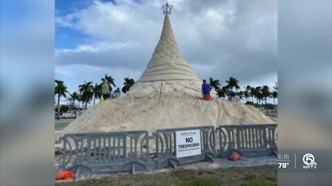 Sandi Tree becomes illuminated in downtown West Palm Beach