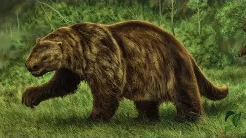 Giant Ground Sloth - Ancient Animal