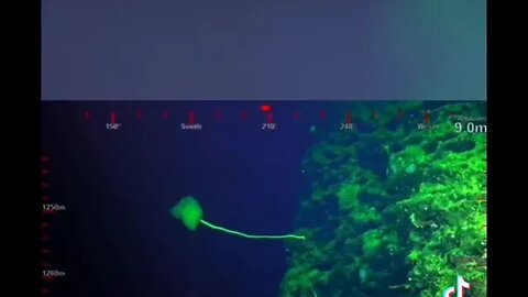 In the Atlantic Ocean