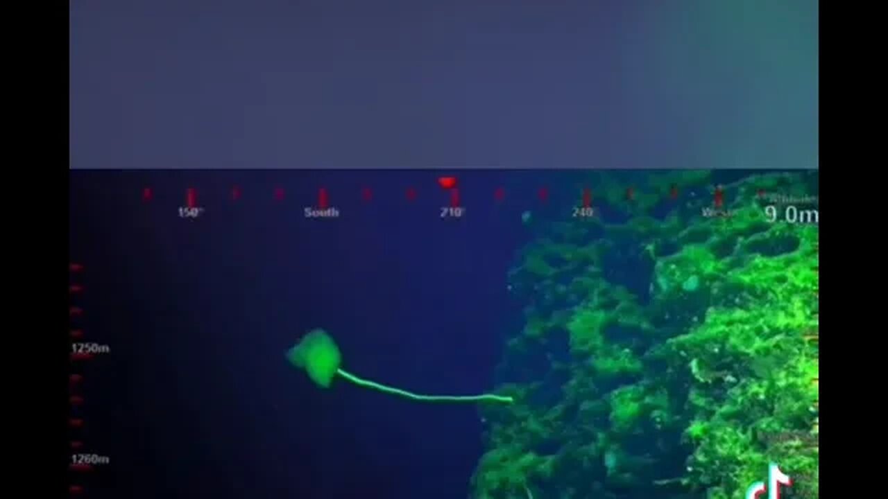 In the Atlantic Ocean